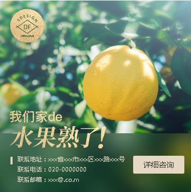 松桃果园果林小程序开发